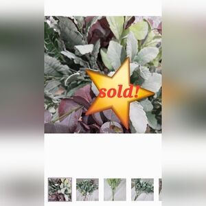 **** SOLD SOLD SOLD***Green and Purple Faux Foliage Home Decor Wreath Supplies